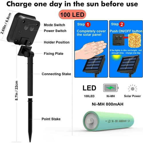 Truest Trim Solar String lights